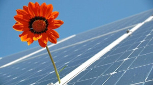 IEA: Economic Weaponizing Of Clean Energy Trade